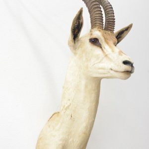 Musical Instruments, Art, & Furniture