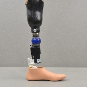 Prosthesis & Accessories