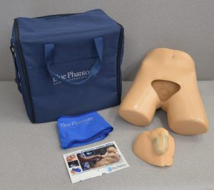 Blue Phantom Imaging Scrotal Training Model