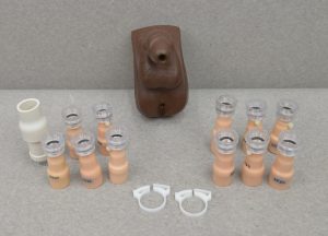 Laerdal Catheterization and Enema Task Trainer Accessories