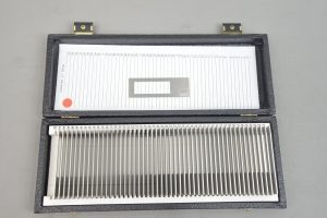 Molecular Machines & Industries Membrane Slides For Lasermicrodissection 50pcs