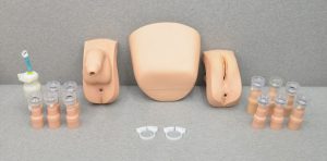 Laerdal Catheterization and Enema Task Trainer Accessories W/ Reservoir & Female