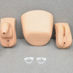 Laerdal Catheterization and Enema Task Trainer Accessories W/ Reservoir & Female