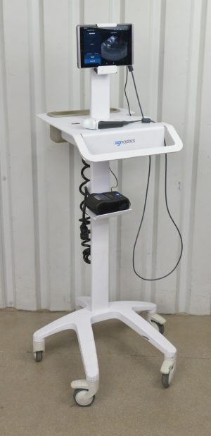 EchoNous Uscan Sector Probe R003992 W/ HP Pro Slate 8 Tablet & Cart